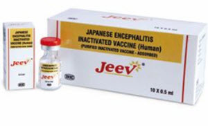 Japanese encephalitis vaccine