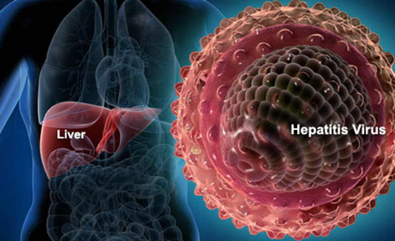 hepatitis b